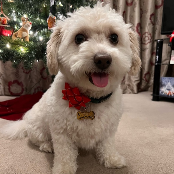 Meet your Posher, Kristin - Picture 3 of 3